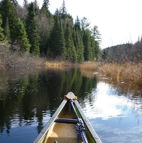 View of the bow of a canoe on a calm lake with trees in the distance