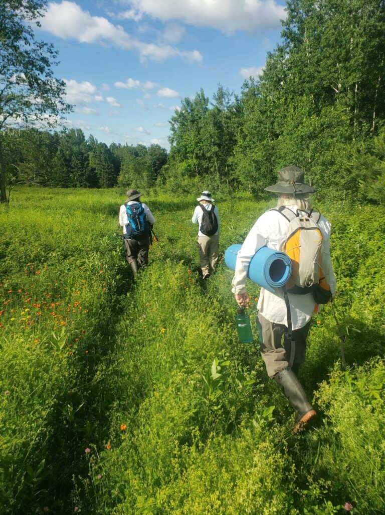 Three poeple hiking on a trail adjacent a forest