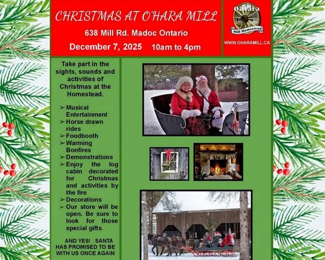 Article Header Image