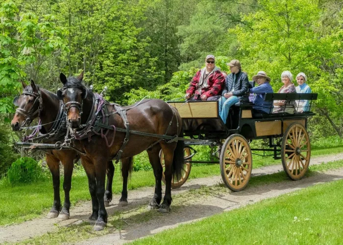 Little Brook Farm Horse Drawn Carriage Rides in Madoc, Ontario