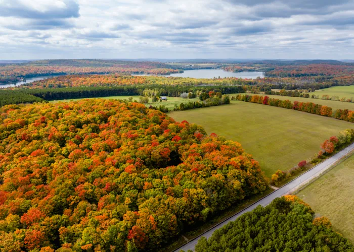 Aerial View of Boulter Ontario in Fall - Paul Hartley