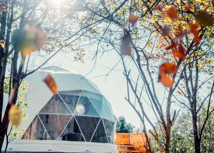luxury glamping dome