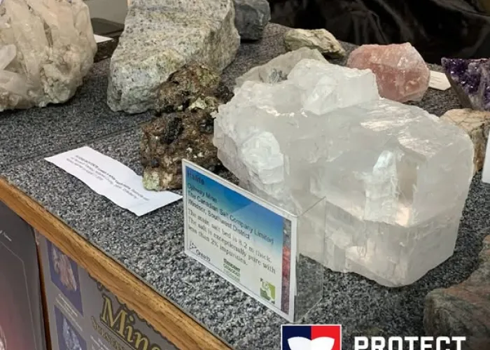 slices of rocks and mineral on a table