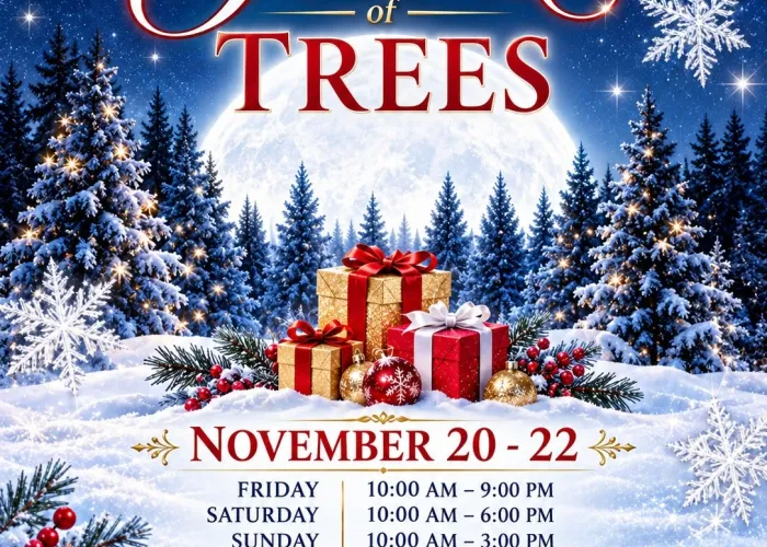 AI poster, winter scene, snow in front, pine trees in centre, full moon behind, snow flakes falling, pile of presents in centre of page, event details
